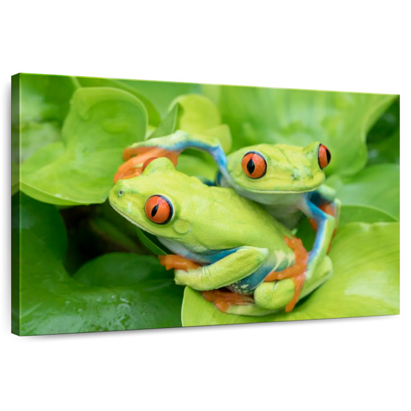 Frogs In An Embrace, 20" H x 30" W