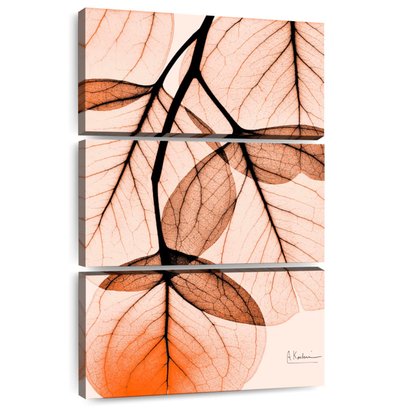 Harnek Orange Eucalyptus I, 57" H x 36" W