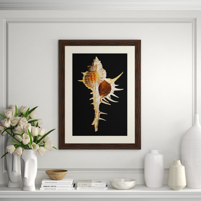 Large Shell 3 Print