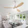 52" Nicola 3 - Blade LED Propeller Ceiling Fan with Remote Control and Light Kit Included