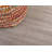 Wingate Oriental Indoor Rug