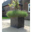Cragmont Handmade Pot Planter-14486292