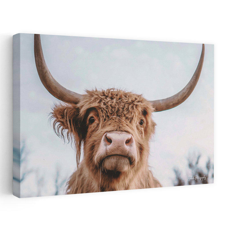 Highland Selfie, portrait de vache contemporain, paysage, H 16 po x l 24 po