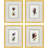Fleurs Framed Art