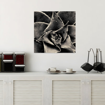 Seattle Succulents, art succulent contemporain