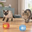 Un ensemble d'Halloween multicolore offre 5 pièces de jouets interactifs pour chat en métal, y compris un ressort, une souris, une boule roulante extensible et des ressorts ludiques colorés pour les chatons d'intérieur.