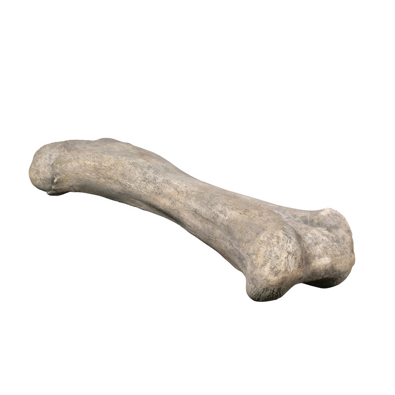 Statue de jardin Apatosaurus