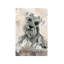 Schnauzer by Carol Robinson - Print on Canvas-56678743-112915171