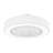 Flush Mount Ceiling Fan Light