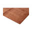 Area Rug in Rust Brown
