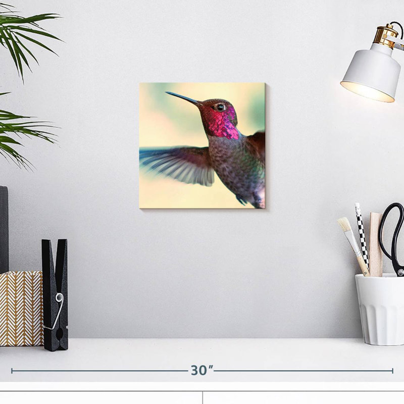 Brampt Flying Anna's Hummingbird, 10" H x 10" W