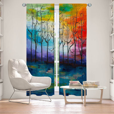 Room Darkening Curtain Pair