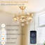 Ventilateur de plafond de chambre à coucher avec lumières Depuley: petit ventilateur de lustre doré de 20 po avec télécommande