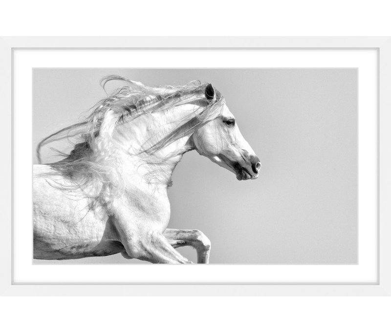 Melanie Snowhite - Single Picture Frame Print, 61cm H x 91cm W x 3.81cm D