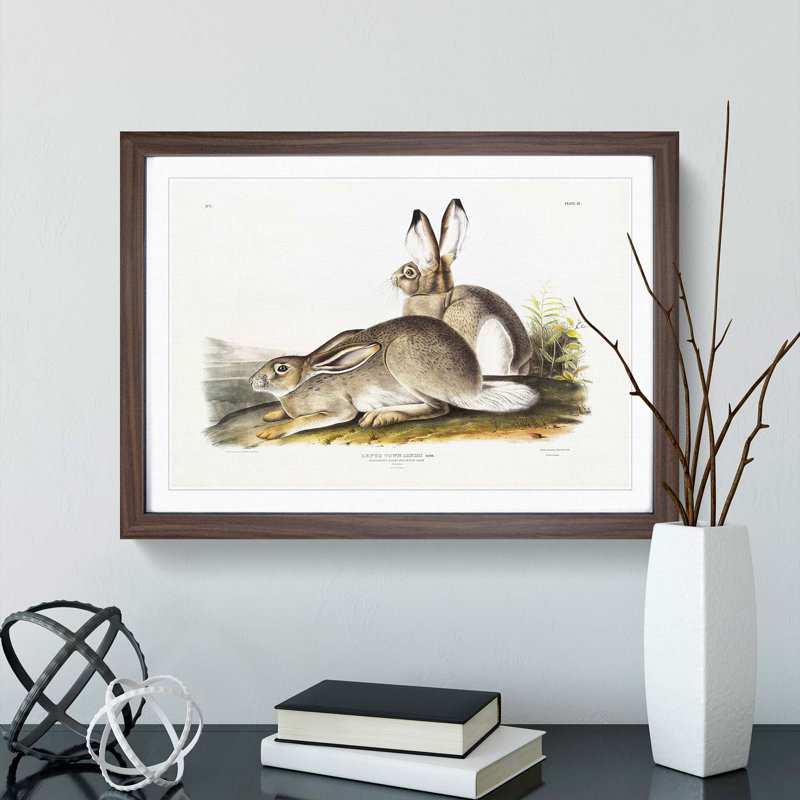 Rocky Mountain Hares by J.W. Audubon - Picture Frame Painting Print, Walnut, 60cm H x 91cm W x 2cm D