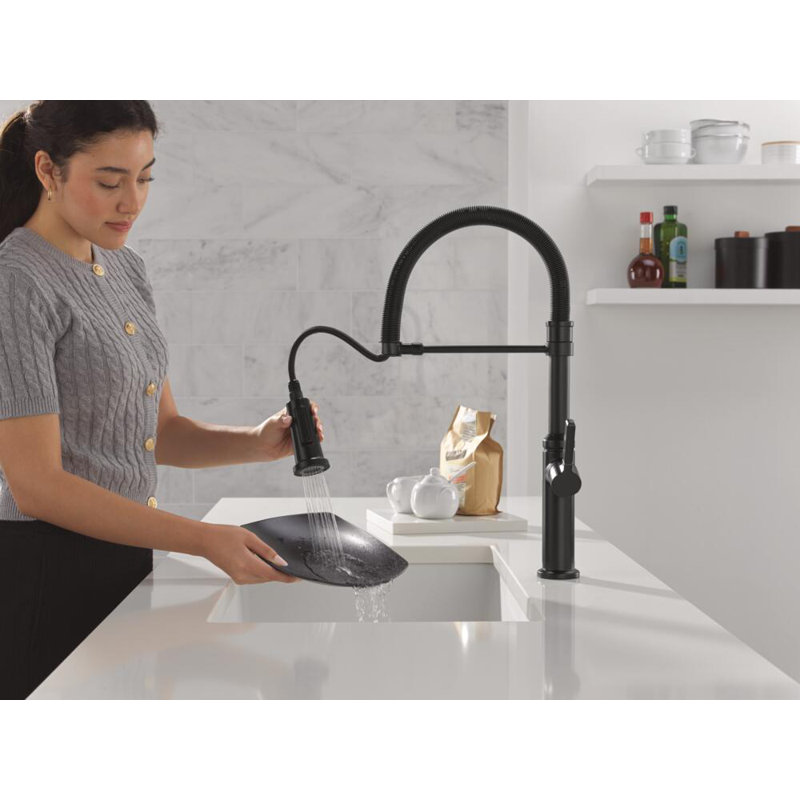 Robinet de cuisine Rhett Pro, Noir mat