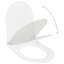 Alarik Soft Close D-Shaped Toilet Seat