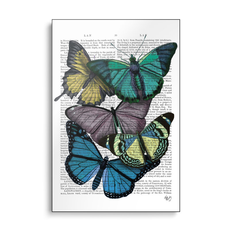 Impression sur toile, "Steplix", "Big Bold Butterflies IV" par Fab Funky