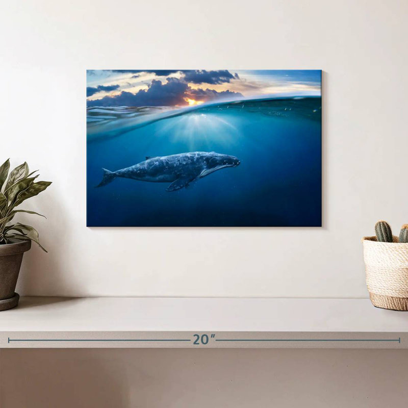Baleine bleue Brampt, H 8 po x l 12 po