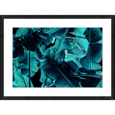 Night Tropics 4 Print by Mat Sanders