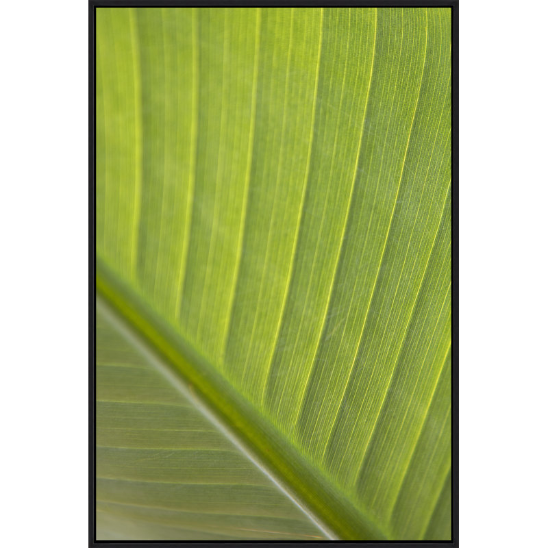 Verde Delicato Print by Karyn Millet, Image Brush Gel