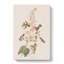 Columbian Hummingbirds - Wrapped Canvas Painting-55371415