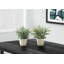 Plante 12,5 po Mcclain-129586461