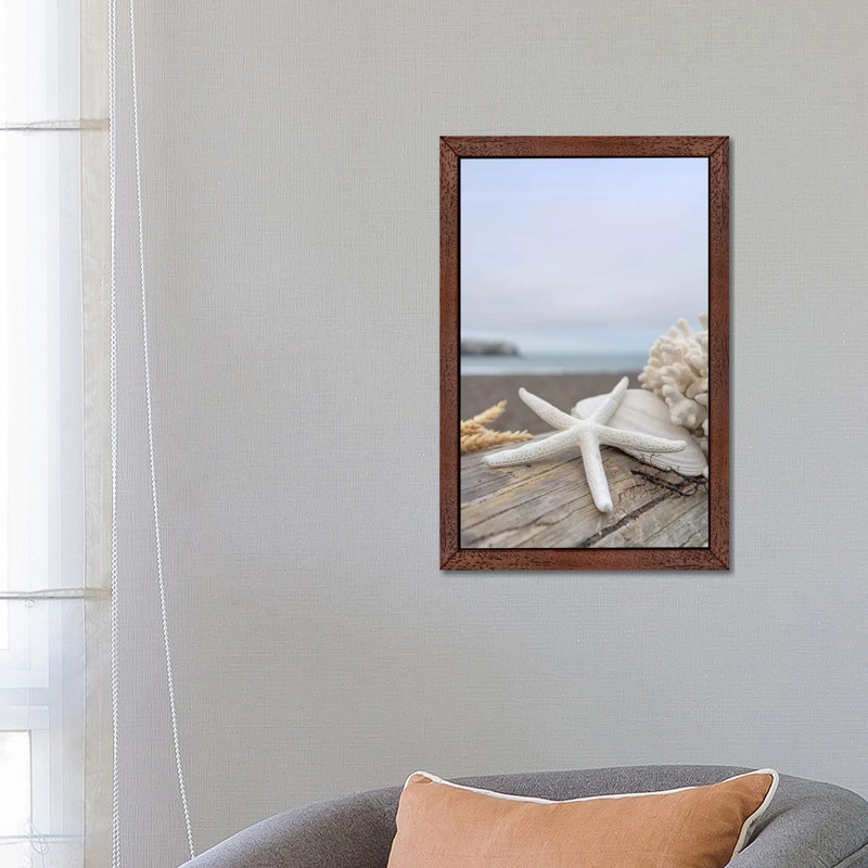 Crescent Beach Shells XIV by Alan Blaustein - Floater Frame Print on Canvas, Brown Framed, 66.04 cm H x 45.72 cm W