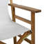 Folding Director Chair-700385183