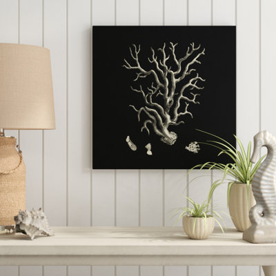 Black And Tan Coral I by Vision Studio - Wrapped Canvas Print