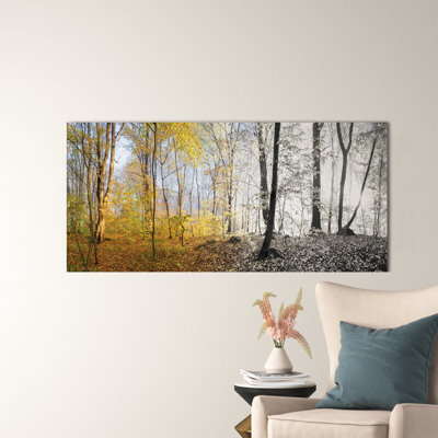 " Yellow Morning In Forest Panorama "