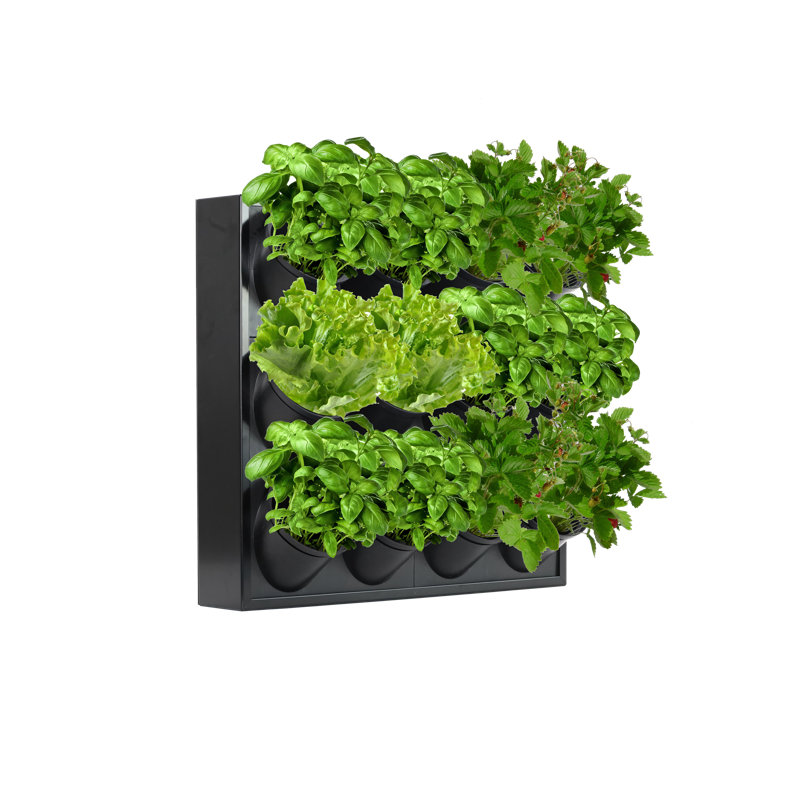 Chet Vertical Garden, Black, 58cm H x 62cm W x 11cm D
