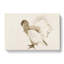 Ducklings by Fujishima Takeji - Wrapped Canvas-55342654