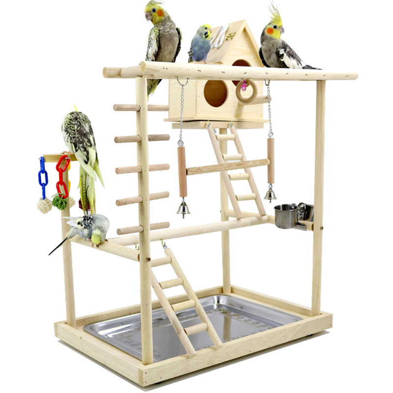 One-of-a-Kind 26.7'' Wood Bird Play Gym for Table Top