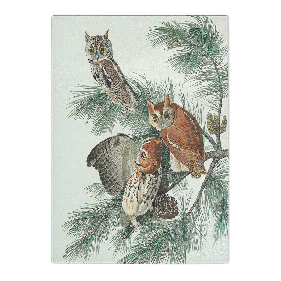 Glass Little Screech Owls by John James Audubon Chopping Board
