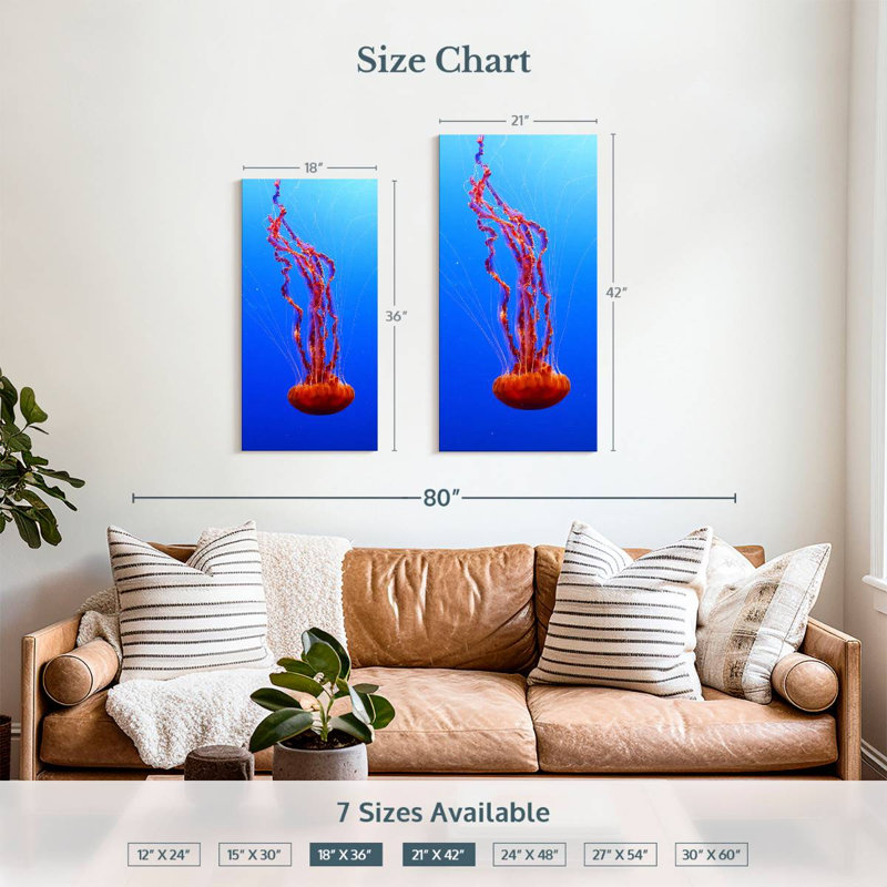 Sea Nettle Jellyfish, H 36 po x l 18 po
