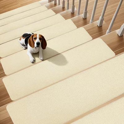 Non-Slip Stair Tread