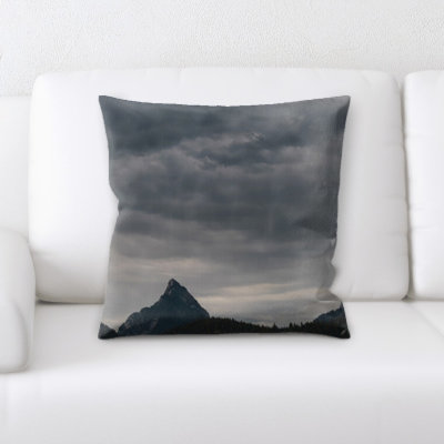 Landis Throw Pillow