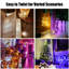 Guirlande lumineuse DEL 100 lumières à DEL 20 lumières avec télécommande et Bluetooth Garden Party 33 pi