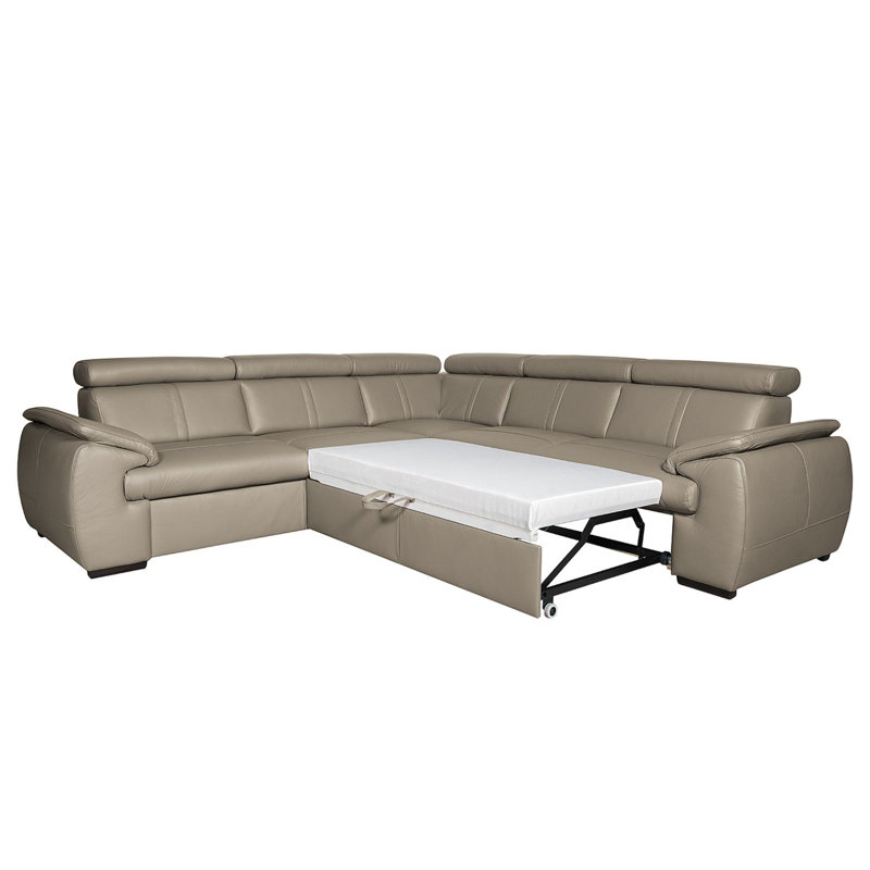 Bangert 5 Seater Sofa Bed, Latte