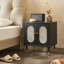Lille 2 Door Rattan Bedside Cabinet-1693654058
