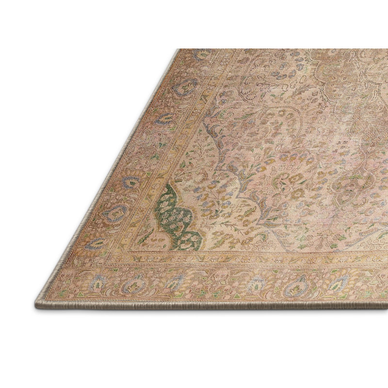 Amryis Performance Oriental Indoor Rug, Rectangle 5' x 7'