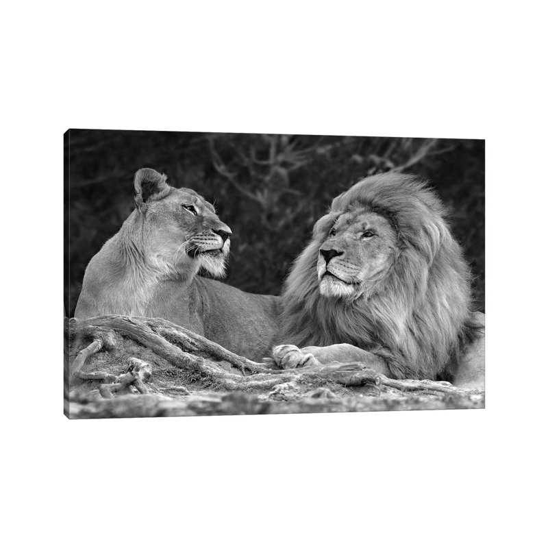 Love by Xavier Ortega - Wrapped Canvas Print, 30.48 cm H x 45.72 cm W