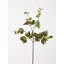 Fiori Delphinium Arrangement