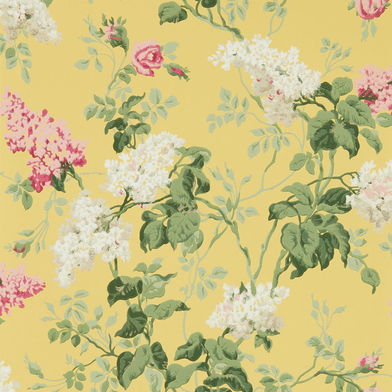 Sommerville 10.05m x 52cm Matte Wallpaper Roll, Yellow