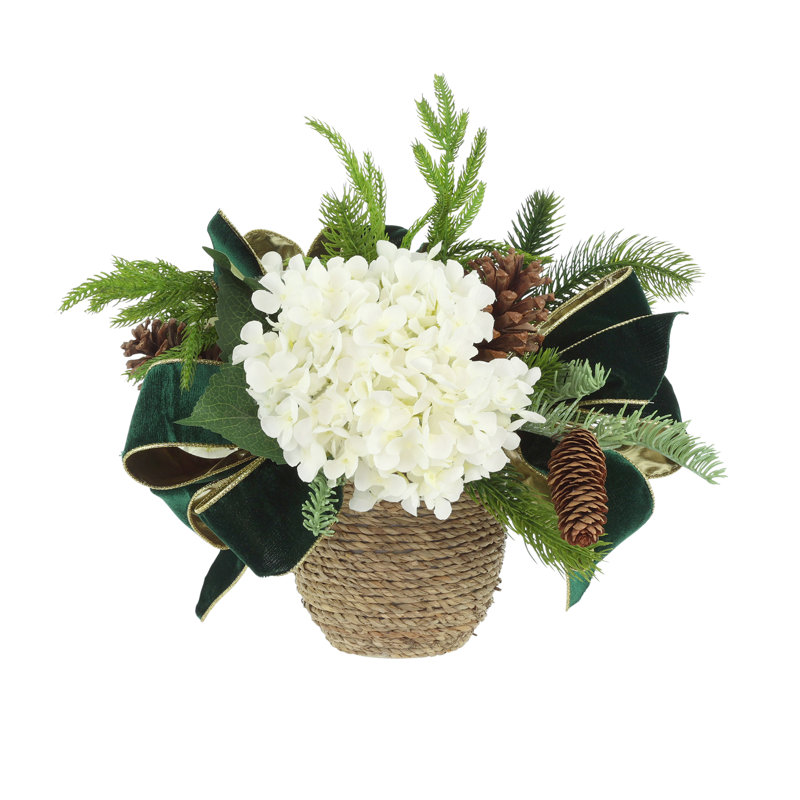 Deux arrangements d'hortensias des Fêtes avec Joli, Blanc / crème / vert