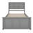 Platform Bed With Trundle Bed-1890338576