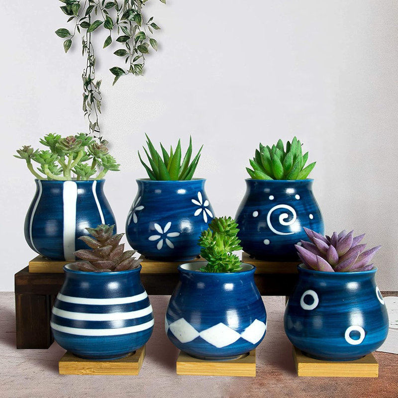 Mignons pots à plantes succulentes avec plateau de drainage en bambou avec pots de drainage et petits pots pour les petites plantes d'intérieur