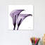 Calla Lilies II by Albert Koetsier - Print on Canvas-1002608901-1013585193