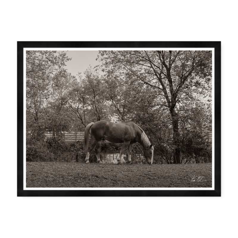 Grazing IV Print by Tim Klein